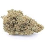 Lemon Haze – THC : 19 %