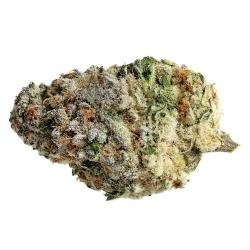 MAC 1 – THC : 22 %