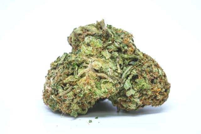 OG Kush – THC : 25 %