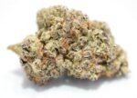 Purple Punch – THC : 18 %