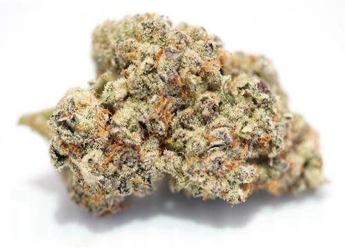 Purple Punch – THC : 18 %